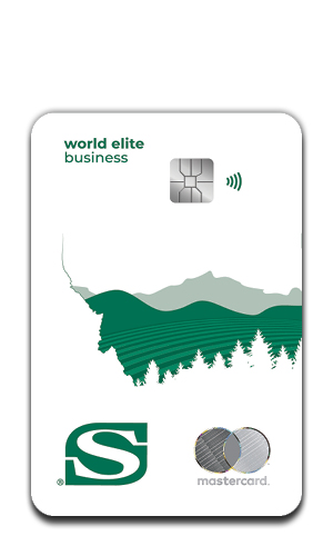 Credit Cards_03 Matercard World Elite Business