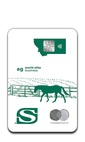 Credit Cards_04 Mastercard Ag World Elite