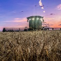 August Harvest in Broadview by Brooke Gierke