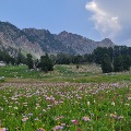 Big Sky Landscape