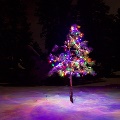 Christmas in Clancy by Travis Hawley