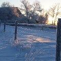 Cold January morning in Conrad by Kathleen Woodford