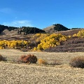 Fall colors near Shonkin, MT by Brian Skogen