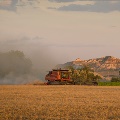 Harvest north of Savage by Kim Nollmeyer
