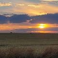 Hay bales outside Sand Coulee by Michelle Rogers