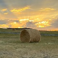 Haybale in field at sunset by Ashley Kalco
