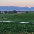 Irrigation Sprinklers in Manhattan by Kody VanDyke