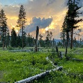 Murphy Flat, Bob Marshall Wilderness by Brandon Dwyer