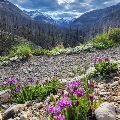 North Fork of Birch Creek by Vera DeBoo