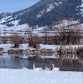 Pond in Southwest Montana by Rachel Homstad