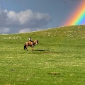 Rainbow Ride by Leslie Lile