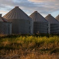Grain Silos in a Montana field