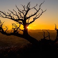 Terry Badlands by Brett Dodd