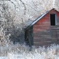 Winter Barn near Crane, MT by Kim Nollmeyer