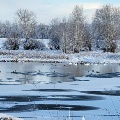 Winter Swimmers by Kody VanDyke